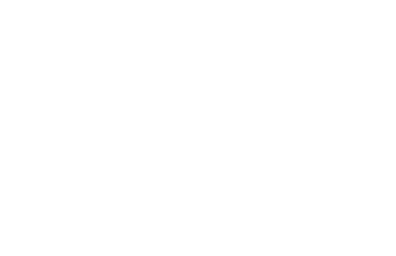 Optimist on Tour Logo